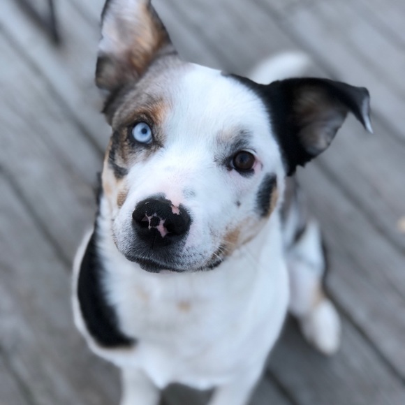 Meet your Posher, Angela - Picture 5 of 8